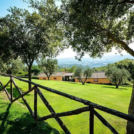 Podere L'aione Scansano